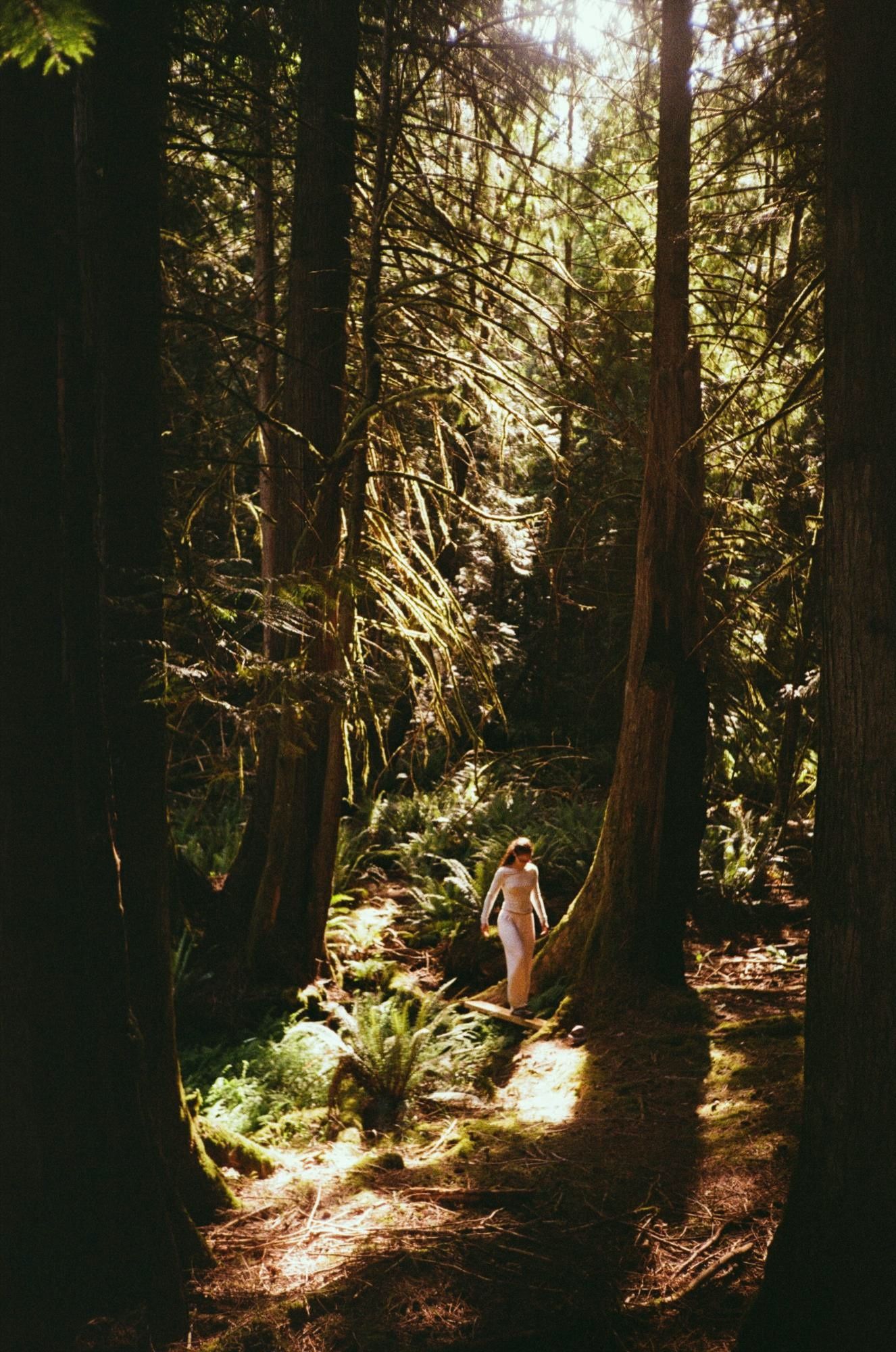 Maia Wikler walking through ferns among tall cedars in a sunlit forest