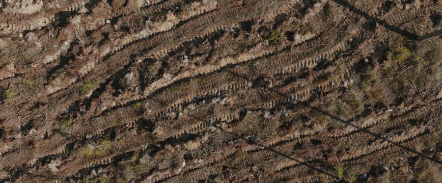 Aerial view of a logged slope scarred by machine tracks