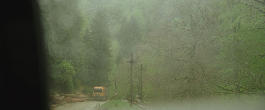 A logging truck on a misty forest road