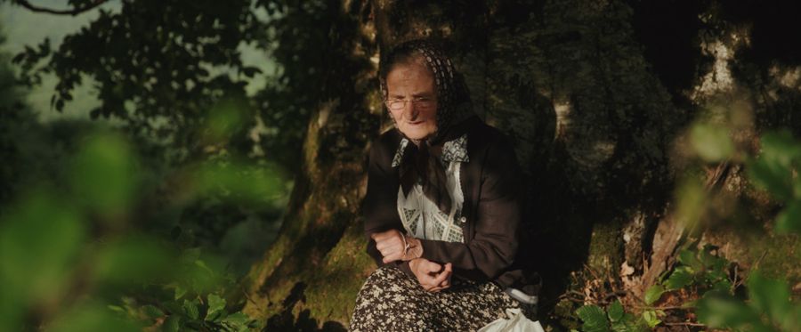 An elderly woman seated beneath a large tree
