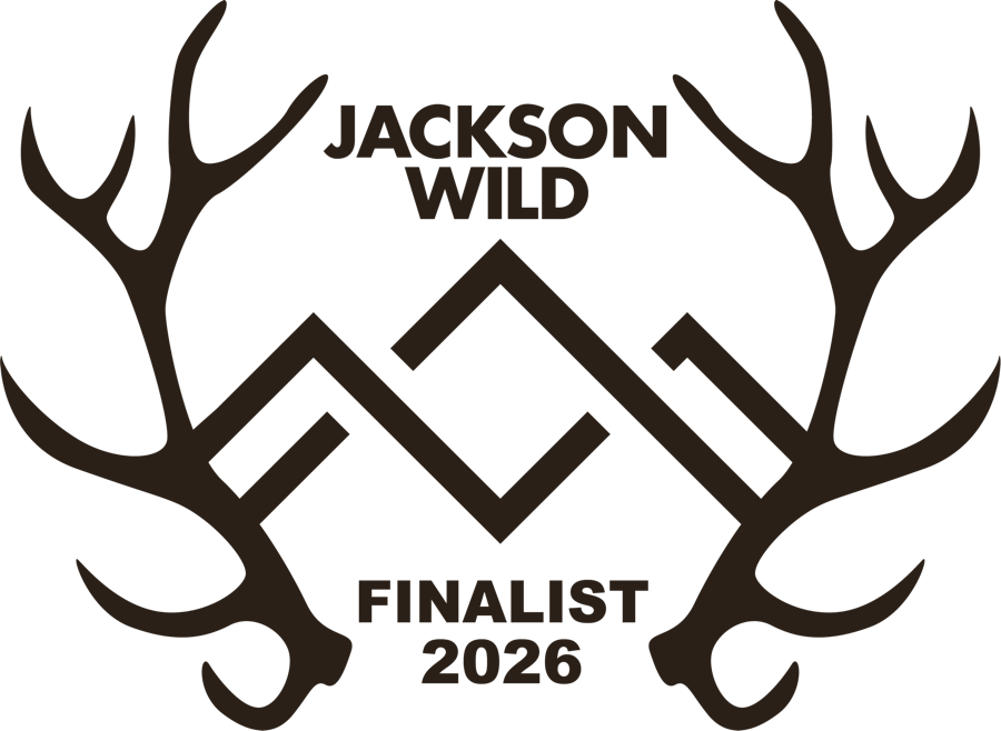 Finalist · Jackson Wild Awards · 2026
